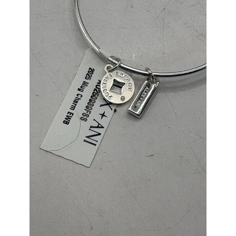 Alex And Ani Silver Toned Hot Mug Of Cocoa Charm Bracelet NWT